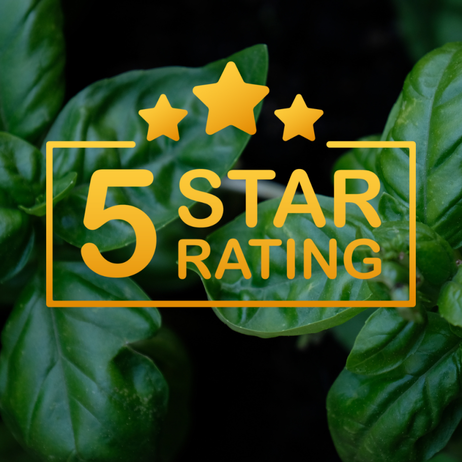 5 star Green leafy background with 5-star rating written in gold, symbolizing client satisfaction for therapeutic massage in Stevens Point, WI.