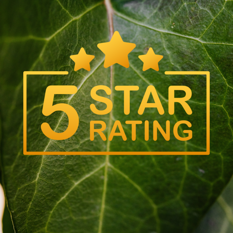 5 star Green leafy background with 5-star rating written in gold, symbolizing client satisfaction for therapeutic massage in Stevens Point, WI.
